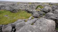 Burren, Irland