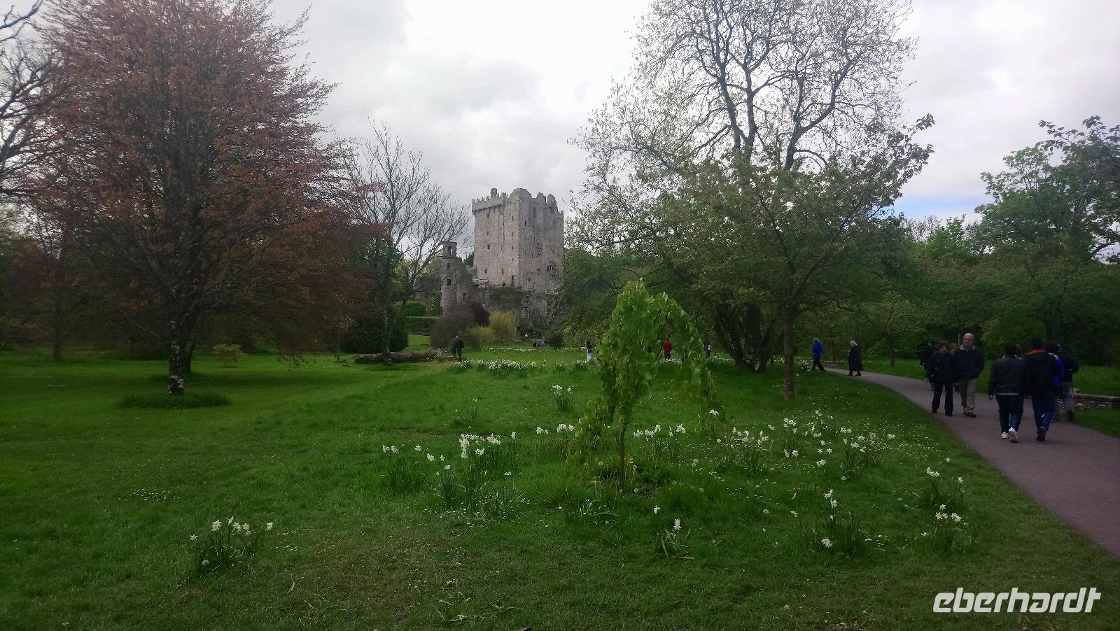 DSC_0266Blarney castle (1)