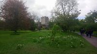 DSC_0266Blarney castle (1)