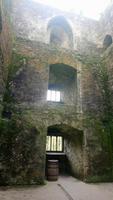 DSC_0277blarney castle (5)