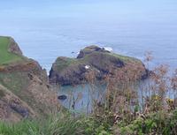 The Carrick a Rede Rope Bridge