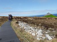 Auf den Ceide Fields