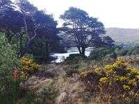 Landschaft am Aasleagh Wasserfall