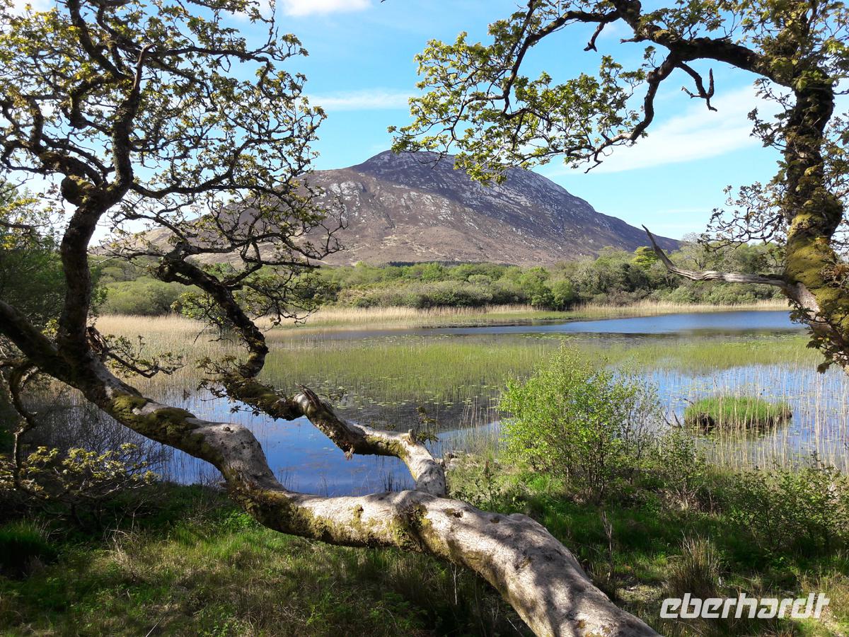 Im Park von Kylemore Abbey