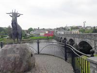 King Puck vor Killorglin
