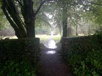 Im Park von Derrynane House