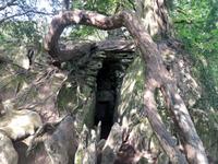 Die sog. Hexenküche bei Blarney Castle