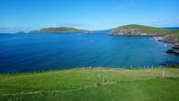 Dingle (36)