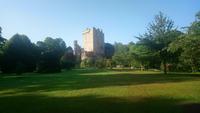 Blarney (6)