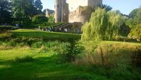 Blarney (7)