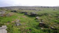 Burren (13)