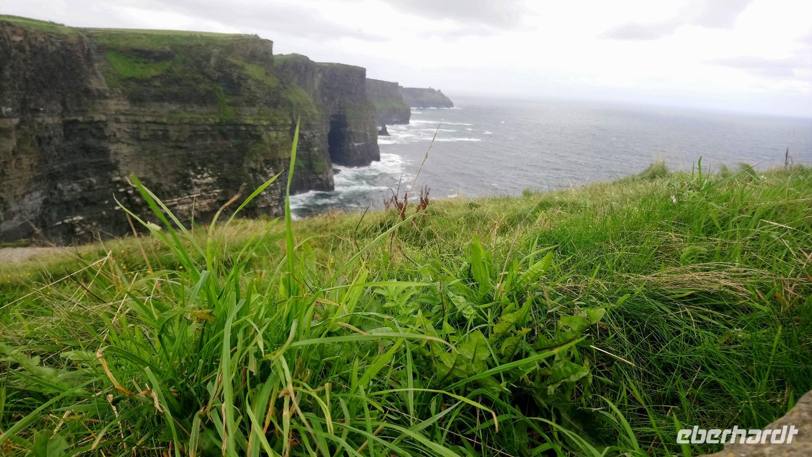 cliffsofmoher (2)