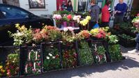 Blumen- und Frischemarkt in Caherciveen
