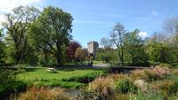 Blarney Castle