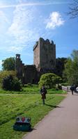 Schottisch beseelt und doch in Irland - Blarney Castle