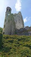 Blarney Castle