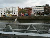 Dublin (15)