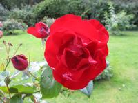 Glenveagh Nationalpark