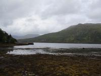 Leenane