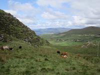 Ring of Kerry