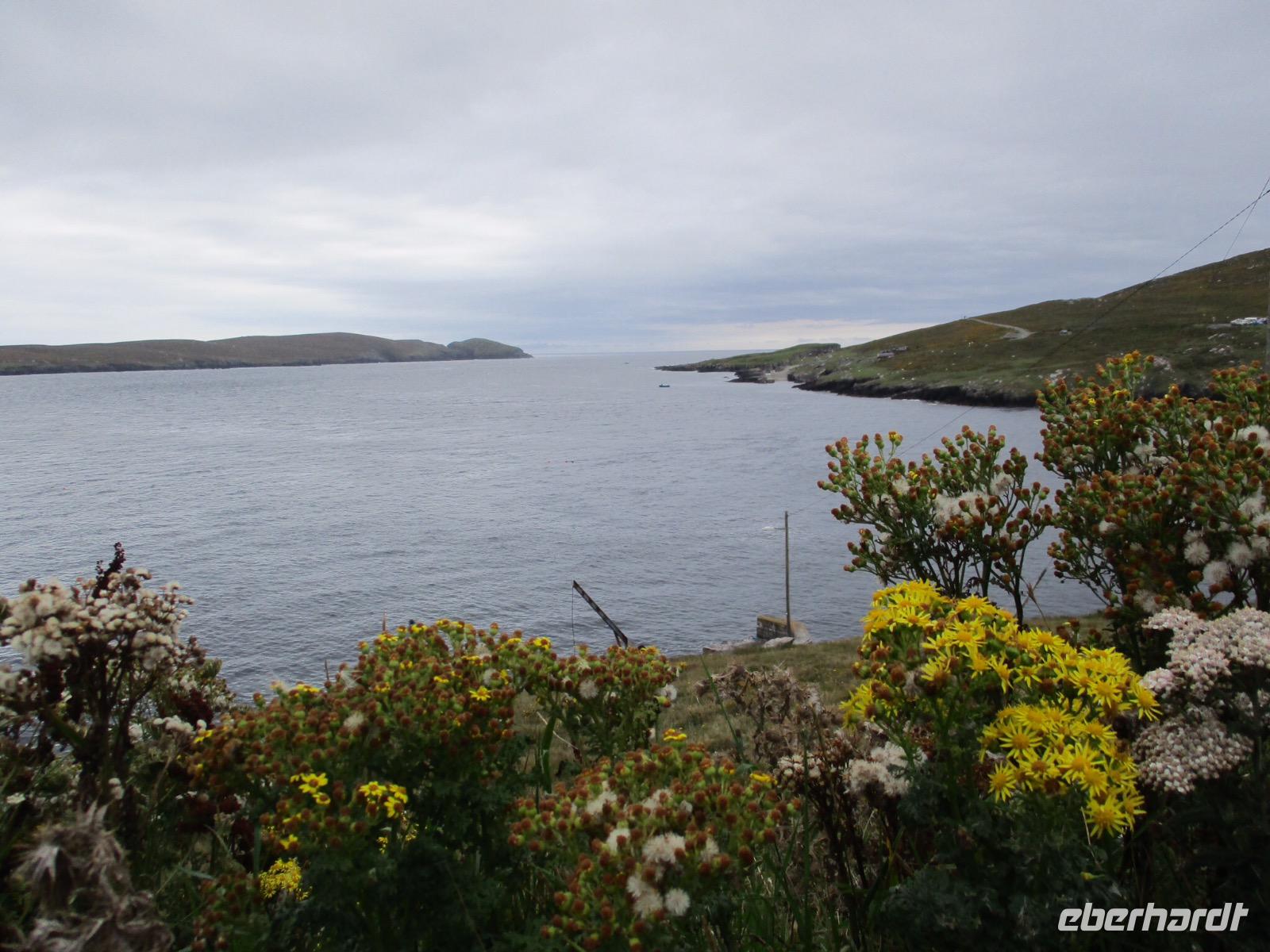Dursey Island
