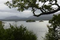 044-Killarney-NP_Unterer-See