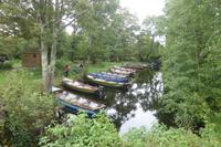 048-Killarney-NP_Ross-Castle