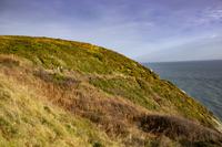 Howth