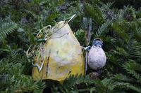 Malahide Castle, Gärten