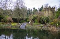 Malahide Castle, Gärten