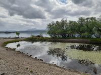 Killarney NP Ross Island