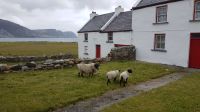 Achill Island Keel