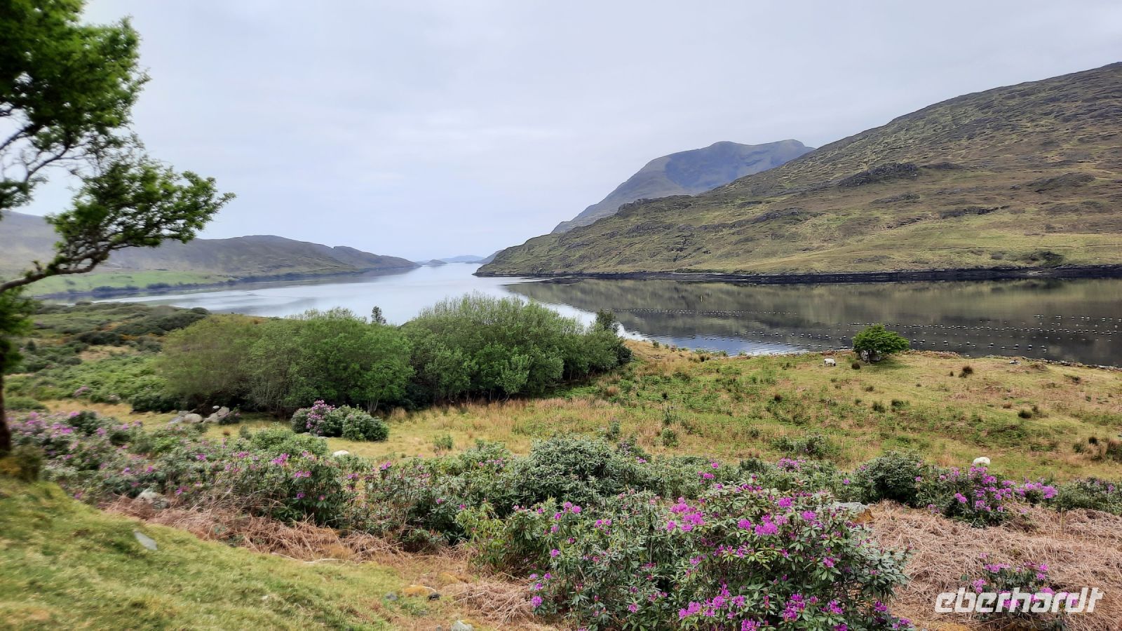2 Connemara unterwegs