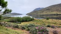 2 Connemara unterwegs