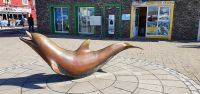 20220922_122652.jpg Fungie- Denkmal in Dingle