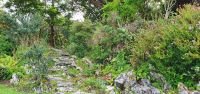 20220924 111547 Muckross- Gärten