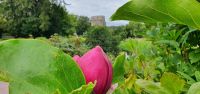 20220925 121155 Blarney Castle