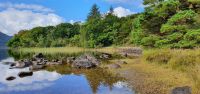 20220924 110632 Muckross Lake