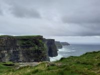...und hier sind die dann, die Cliffs of Moher