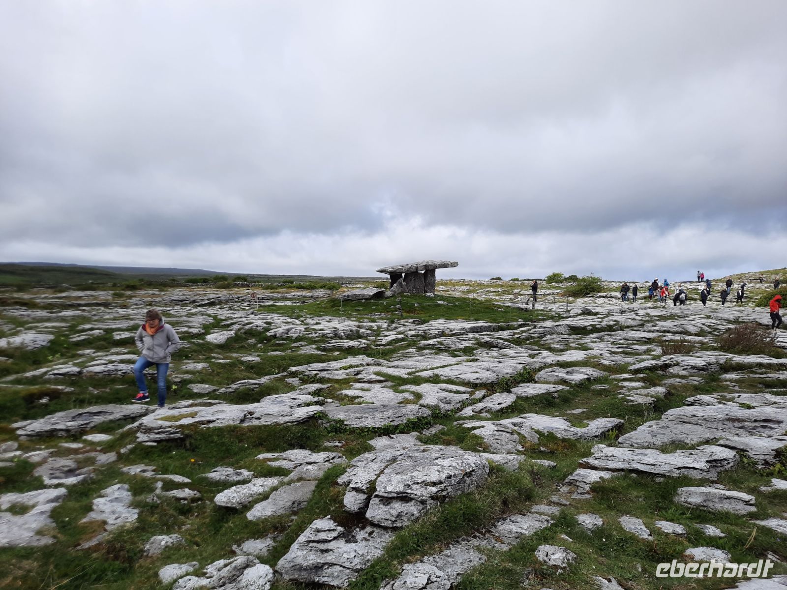 auf der Suche nach wilden Orchideen