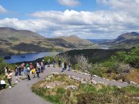 Ladies View, Ring of Kerry