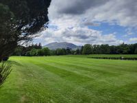 im Park von Muckross House