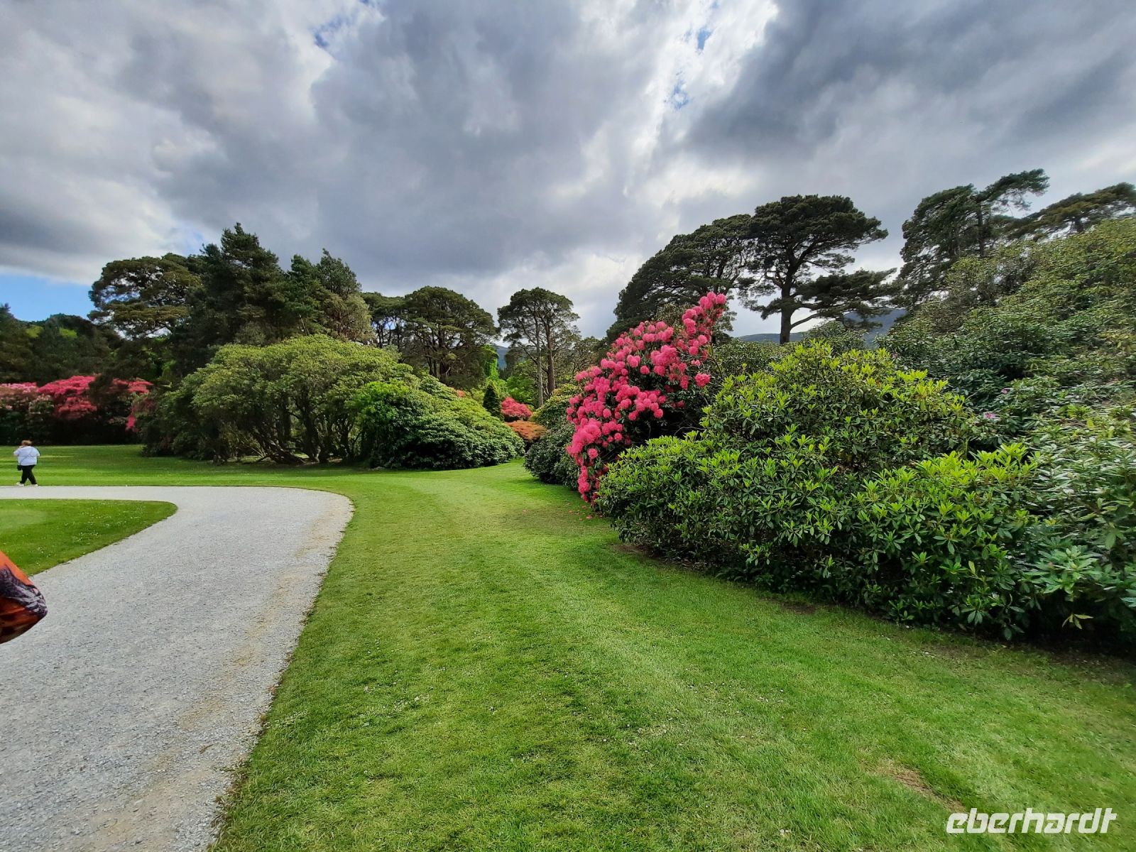 im Park von Muckross House