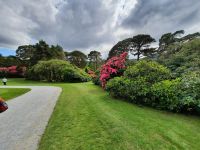 im Park von Muckross House