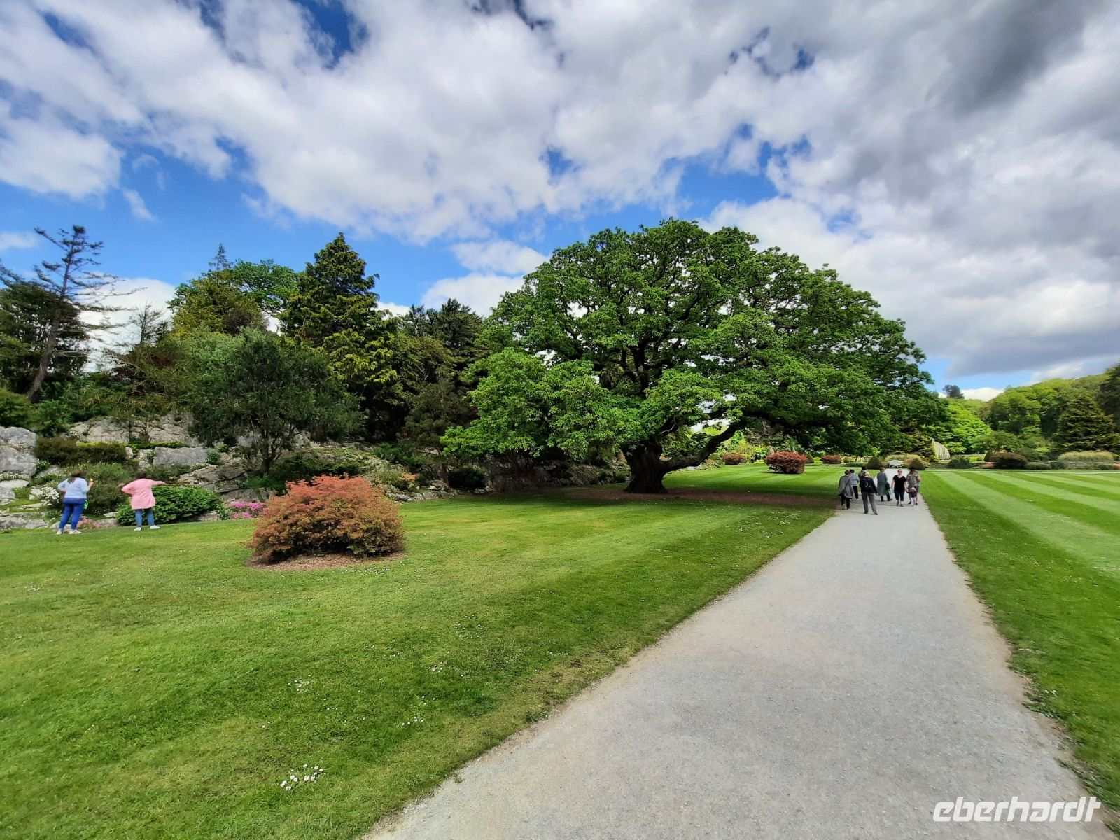 im Park von Muckross House