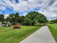 im Park von Muckross House