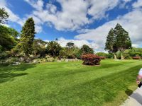 im Park von Muckross House