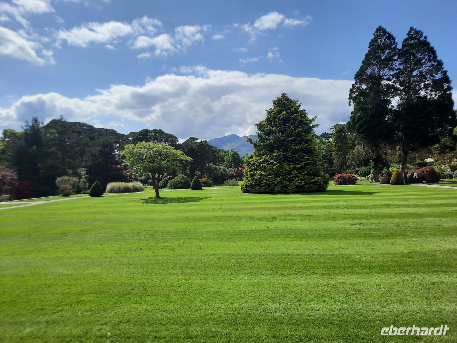 im Park von Muckross House