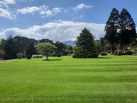 im Park von Muckross House