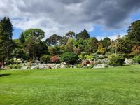 im Park von Muckross House